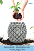 Evene Saksı Çiçek Kaktüs Saksısı Lüx 15 Cm Gümüş Eskitme Varak Boyalı Ananas Desenli 2'li Set Çiçeklik - 4