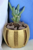 Kaktüs Saksı Dünyası El Yapımı Saksı Altın Dekoratif Saksı Küçük Boy Model 41 thumbnail 1