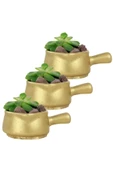 Evene Mini Çiçek Saksı Küçük Sukulent Altın Kaktüs Saksısı 3'lü Set Mini Tava Model thumbnail 1