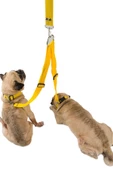 Viselia Köpek Tasması Çoklayıcı Çiftli Gezdirme Kayışı Premium Kalite Kopma Yapmaz Hafif Kolon Kumaş Sarı - 1