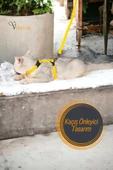 Viselia Kedi Tasması Boyun Göğüs Ayarlanabilir Sevk Kayışlı Gezdirme Seti - 5