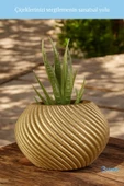 Evene Mini Çiçek Saksı Küçük Sukulent Altın Kaktüs Saksısı Ince Çizgili Spiral Model thumbnail 3