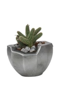 Stein Kohle Çiçek Saksısı Dekoratif Kaktüs Saksı 1 Adet Gümüş Renk Eskitme Uygulamalı Önü Açık Model thumbnail 1