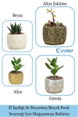 Evene Mini Çiçek Saksı Küçük Sukulent Beyaz Kaktüs Saksısı Altıgen Desenli Model thumbnail 7