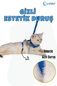 Evene Kedi Tasması Kedi Gögüs Bel Ayarlanabilir Tasma Mavi - 6