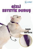 Evene Kedi Tasması Kedi Göğüs Bel Ayarlanabilir Dayanıklı Sağlam Tasma Mor thumbnail 5