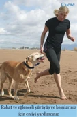 Evene Siyah Kedi Tasması Sevk Kayışlı Eller Serbest Bel Bağlamalı Yürüyüş Spor Trekking Gezdirme Tasması - 2