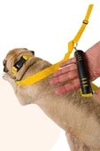 Evene Kedi Gezdirme Tasması Kedi Gezdirme Ipi Çiftli Tasma Model 9 Sarı - 4