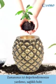Evene Ahşap Ayaklı Beton Saksı Büyük Boy Set 2 Adet Altın Varak Boyalı Eskitmeli Ananas Model - 4