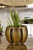 Stein Kohle Dekoratif Saksı Minik Kaktüs Saksısı Altın Eskitme Renk Model 41 thumbnail 4