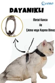 Evene Kedi Tasması Kedi Göğüs Bel Ayarlanabilir Dayanıklı Sağlam Tasma Siyah - 2