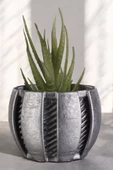 Stein Kohle Dekoratif Saksı Minik Kaktüs Saksısı Gümüş Eskitme Renk Model 41 thumbnail 1