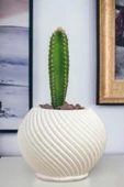 Viselia Kaktüs Saksısı Sukulent El Yapımı Saksı Balkon Çiçek Saksısı Ev Saksısı Saksı Model 1 Beyaz thumbnail 1