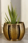 Stein Kohle Dekoratif Saksı Minik Kaktüs Saksısı Altın Eskitme Renk Model 41 thumbnail 1