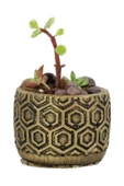 Evene Mini Çiçek Saksı Küçük Sukulent Altın Eskitme Kaktüs Saksısı Altıgen Desenli Model - 1