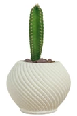 Stein Kohle Dekoratif Saksı Minik Kaktüs Saksısı Beyaz Renk 1 Adet Ince Çizgili Spiral Model thumbnail 1