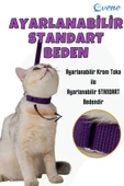 Evene Kedi Tasması Kedi Gögüs Bel Ayarlanabilir Tasma Mor 2cm thumbnail 6