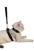 Evene Kedi Tasması Kedi Göğüs Bel Ayarlanabilir Dayanıklı Sağlam Tasma Siyah - 1