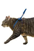 Evene Kedi Tasması Kedi Göğüs Bel Ayarlanabilir Dayanıklı Sağlam Tasma 1 cm İnce Kolon Mavi - 1