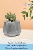 Evene Saksı Çiçek Kaktüs Saksısı Lüx 15 Cm Gümüş Eskitme Varak Boyalı Kalın Çizgi Desen 3'lü Set Çiçeklik thumbnail 5