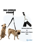 Pandogo Kedi Köpek Çiftli Gezdirme Tasması Siyah Çoklu Tasma Premium Kalite Model Amsterdam - 5
