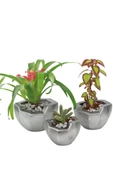 Evene Saksı Çiçek Kaktüs Saksısı Lüx 15 Cm Gümüş Eskitme Varak Boyalı Önü Açık Desenli 3'lü Set Çiçeklik - 1