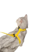 Evene Kedi Tasması Kedi Gögüs Bel Ayarlanabilir Tasma Sarı - 1