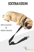 Viselia Evcil Hayvan Emniyet Kemeri Kedi Köpek Tasma Köpek Araç Kemeri thumbnail 7