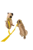 Pandogo Kedi Köpek Çiftli Gezdirme Tasması Sarı Çoklu Tasma Premium Kalite Model Amsterdam thumbnail 1