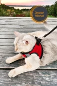 Viselia Kedi Tasması Göğüs Boyun Tasma Sevk Kayışlı Terletmeyen Nefes Alan Kumaş Reflektörlü Kırmızı M Beden thumbnail 3