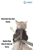Evene Kedi Tasması Göğüs Boyun Tasma Seti Sevk Kayışlı Terletmeyen Nefes Alan Reflektörlü Tasma S Gri thumbnail 7