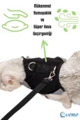 Evene Kedi Tasması Göğüs Boyun Tasma Seti Sevk Kayışlı Terletmeyen Nefes Alan Reflektörlü Tasma L Siyah thumbnail 7