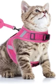 Pandogo Kedi Tasması Göğüs Gezdirme Tasması Uzun Sevk Kayışlı Pembe S Beden thumbnail 1