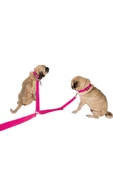 Pandogo Kedi Köpek Çiftli Gezdirme Tasması Pembe Çoklu Tasma Premium Kalite Model Amsterdam - 1
