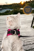 Viselia Kedi Tasması Göğüs Boyun Tasma Sevk Kayışlı Terletmeyen Nefes Alan Kumaş Reflektörlü Pembe S Beden thumbnail 2