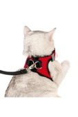 Evene Kedi Tasması Kedi Gezdirme Tasması Kedi Göğüs Tasması Model 1 L Beden Kırmızı Tasma thumbnail 2