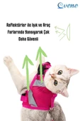 Evene Kedi Tasması Göğüs Boyun Tasma Seti Sevk Kayışlı Terletmeyen Nefes Alan Reflektörlü Tasma M Pembe - 4
