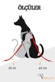 Viselia Evcil Hayvan Emniyet Kemeri Kedi Köpek Tasma Köpek Araç Kemeri thumbnail 6