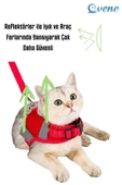 Evene Kedi Tasması Göğüs Boyun Tasma Seti Sevk Kayışlı Terletmeyen Nefes Alan Reflektörlü Tasma S Kırmızı - 6