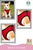 Pandogo Kedi Köpek Tasması Reflektörlü Fileli Hava Alan Kumaş Sevk Kayışlı Kedi Gezdirme Tasması Gri L - 5
