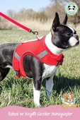 Pandogo Kedi Tasması Göğüs Gezdirme Tasması Uzun Sevk Kayışlı S Beden - 8