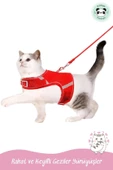 Pandogo Kedi Tasması Göğüs Gezdirme Tasması Uzun Sevk Kayışlı S Beden - 7