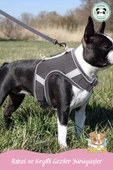 Pandogo Kedi Tasması Göğüs Gezdirme Tasması Uzun Sevk Kayışlı Gri M Beden thumbnail 8