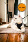 Viselia Siyah Kedi Tasması S Beden Sevk Kayışlı Terletmeyen Nefes Alan Reflektörlü Paris thumbnail 2