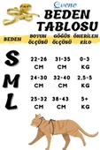 Evene Kedi Tasması Göğüs Boyun Tasma Seti Sevk Kayışlı Terletmeyen Nefes Alan Reflektörlü Tasma S Kırmızı - 3