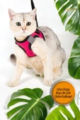 Viselia Kedi Tasması Göğüs Boyun Tasma Sevk Kayışlı Terletmeyen Nefes Alan Kumaş Reflektörlü Pembe S Beden thumbnail 5