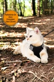 Viselia Siyah Kedi Tasması S Beden Sevk Kayışlı Terletmeyen Nefes Alan Reflektörlü Paris thumbnail 6
