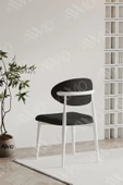 AVVİO Silva PoloSandalye Beyaz Mutfak Salon Yemek Odası Sandalyesi Metal Ayak - 2