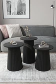 AVVİO ELENORA Üçlü Zigon Sehpa Lake MDF AYAK 40 CM/45 CM /50 CM - 2