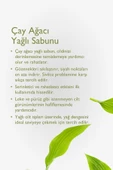 BAGA Çay Ağacı Yağlı Sabun 125gr - 2